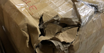 Thumbnail photo by Sara Williams of Purple Heart Moving Group