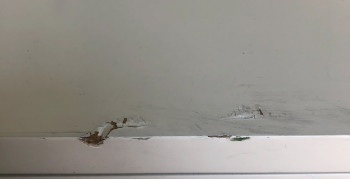 Thumbnail photo by Joni Sweet of FlatRate Moving