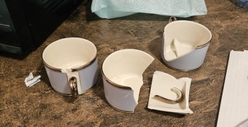 Thumbnail photo by Brenda Langan of Pegasus Vanlines 