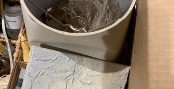 Second thumbnail photo by Miriam Carlyle of BLVD Moving