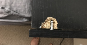 Thumbnail photo by Deanna of Long Distance Relocation Group Inc