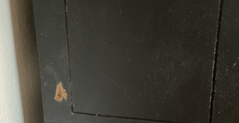 Thumbnail photo by Gloria Eubank of Allegiance Van Lines LLC