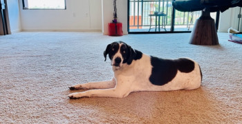 Thumbnail photo by Nana Pink of Muscular Moving Men