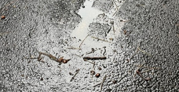 Second thumbnail photo by Julia Bennett of PODS Moving and Storage