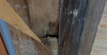 Thumbnail photo by Marita Prince of Noble Moving And Storage