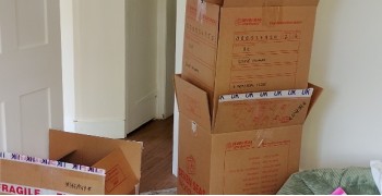 Thumbnail photo by Louise Mingay of Seven Seas Worldwide