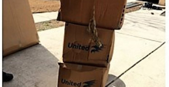 Thumbnail photo by Anna Chilton of United Van Lines