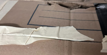 Second thumbnail photo by Preya Samuel of Northern Elite Van Lines