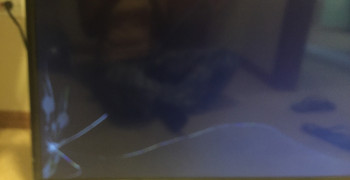 Thumbnail photo by Rosa Ferreira of Two Men and a Truck