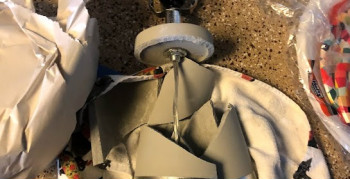 Second thumbnail photo by Lauren Sester of Northern Elite Van Lines