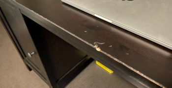 Thumbnail photo by Donna Lyon of CBD Movers AU