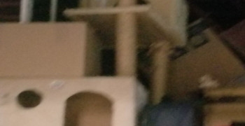 Thumbnail photo by Jan Taylor of Gateway Express Moving