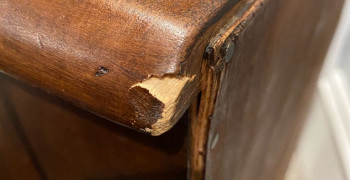 Thumbnail photo by Madeline Flores of Pricing Van Lines