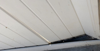 Thumbnail photo by Sheri Miller of Quality Express Van Lines