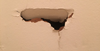 Thumbnail photo by Dr Des Oliver of AnyVan