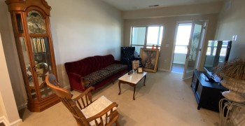 Thumbnail photo by Daniela Huerta of Illinois Movers Inc