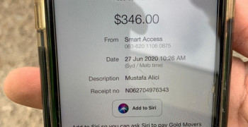 Thumbnail photo by Alissa Mack of Gold Removals