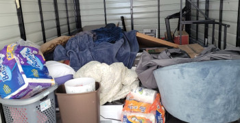 Thumbnail photo by Nequisha Adams of Simple Moving Labor