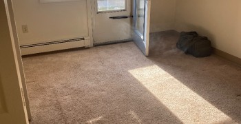 Thumbnail photo by Suzanne Pratt of Safe Ship Moving Services