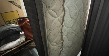 Thumbnail photo by Victoria Boyd of CBD Movers AU