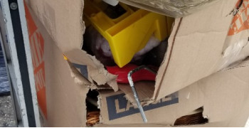 Second thumbnail photo by Adnan Tayara of Ideal Moving & Storage Inc