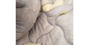 Thumbnail photo by Faith Jones of EZ Movers