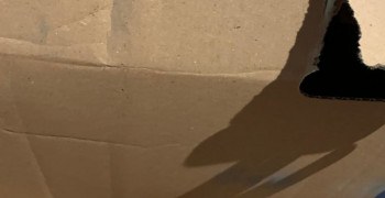 Second thumbnail photo by Kim Weller of Purple Heart Moving Group