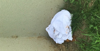 Second thumbnail photo by G Smith of Best Interstate Moving and Storage