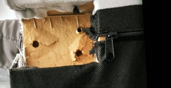 Thumbnail photo by Trisha Lee of Canadian National Van Lines