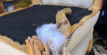 Thumbnail photo by Hallie Chrisman of Clutter Moving and Storage