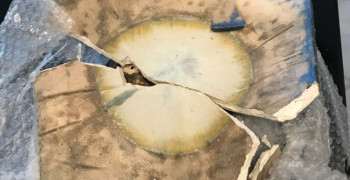 Second thumbnail photo by Marilee of Superior Moving Systems Inc