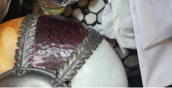 Second thumbnail photo by Mel Messani of Safe Ship Moving Services