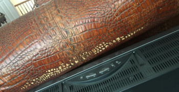 Thumbnail photo by Merrie Lucas of Two Men and a Truck