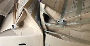 Thumbnail photo by Lynn Heberr of True Maple Moving