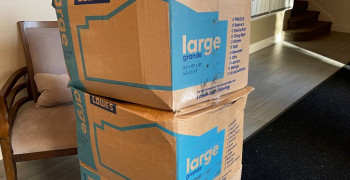 Thumbnail photo by Chloe Fisher of Carefree Movers Inc