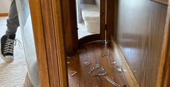 Thumbnail photo by Peggy Villarreal of Meta Vanlines