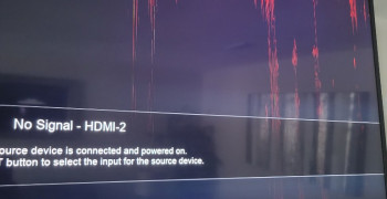 Thumbnail photo by Felecia Okafor of New Leaf Moving Group