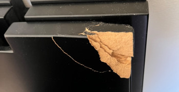 Thumbnail photo by Boyd Peischl of Solomon and Sons Relocation Service