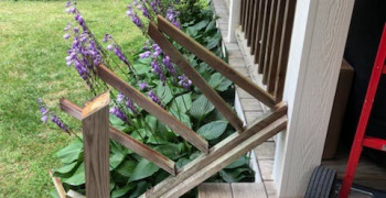 Thumbnail photo by Mary Ellis of Safe Ship Moving Services