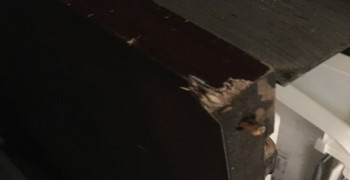 Thumbnail photo by Alon Gor of FlatRate Moving