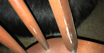 Second thumbnail photo by Patricia Fredrickson of Oasis Moving and Storage