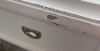 Thumbnail photo by Rachelle Lewis of All My Sons Moving and Storage