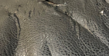 Second thumbnail photo by Rae Hussell of 2 Burley Men Moving