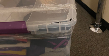 Second thumbnail photo by Nhatnguyen Tran of Northern Elite Van Lines