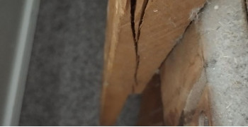 Thumbnail photo by Jonathan Gatto of Safeway Moving Systems