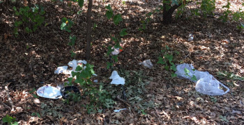 Thumbnail photo by Cheryl S of Geo Van Lines