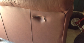 Thumbnail photo by Sherry Tychsen of Accurate Movers