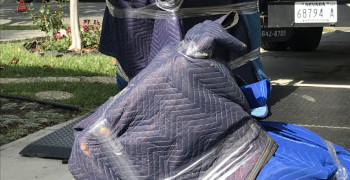 Second thumbnail photo by Renee Michno of Best Interstate Moving and Storage