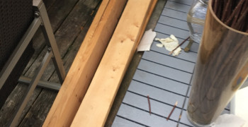 Thumbnail photo by Mei Francis of Metropolitan Movers