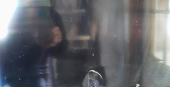 Thumbnail photo by Janet Miracle of Alliance Moving & Storage LLC